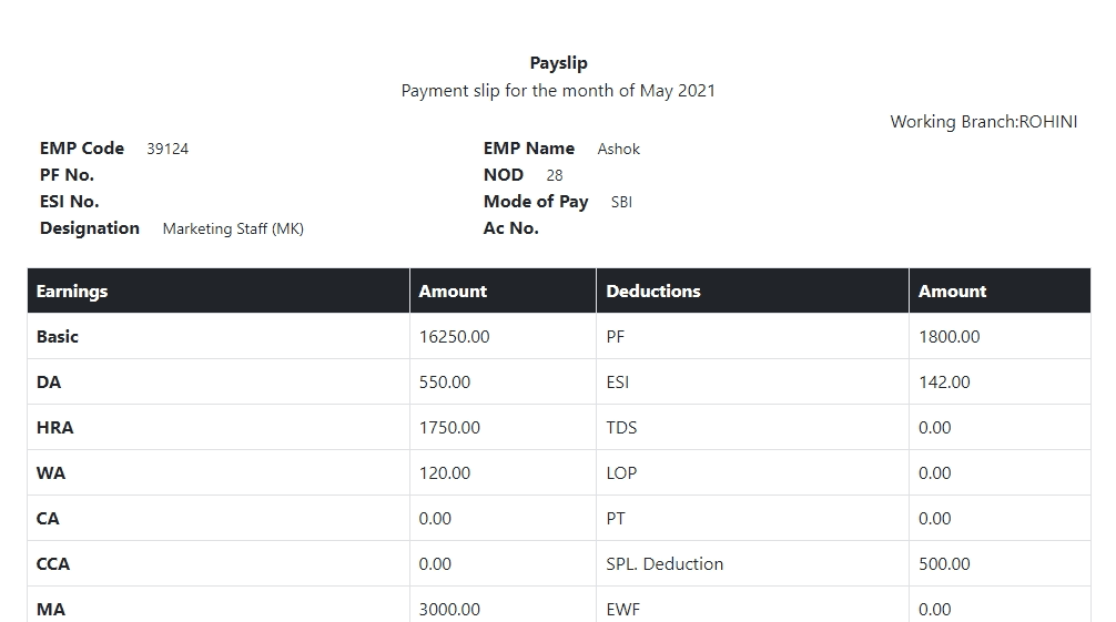 Employee Salary slip template