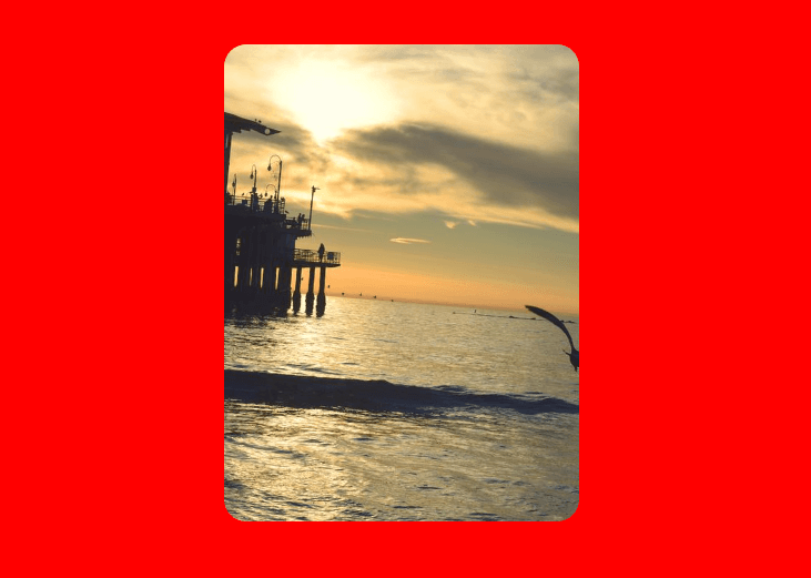 image rotate with hover effect