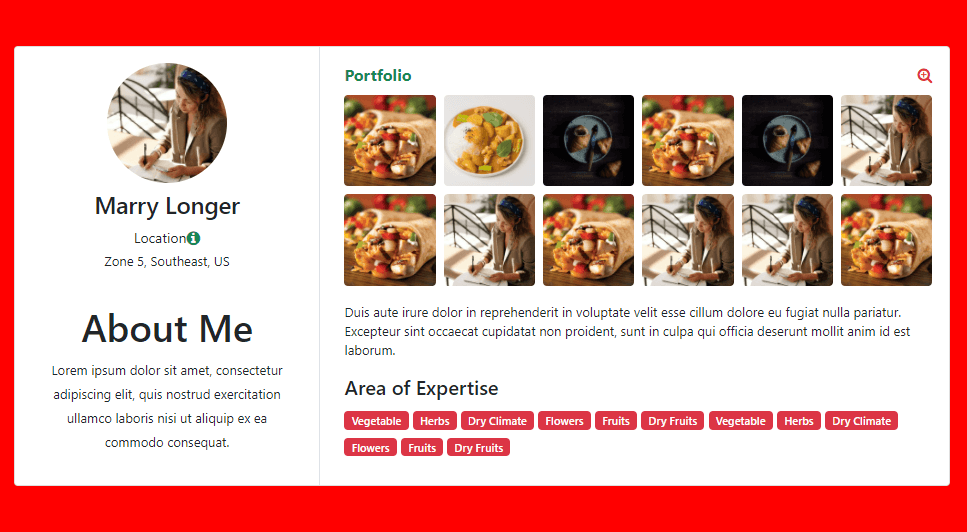 user portfolio templates