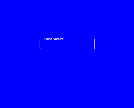 animated input with floating label