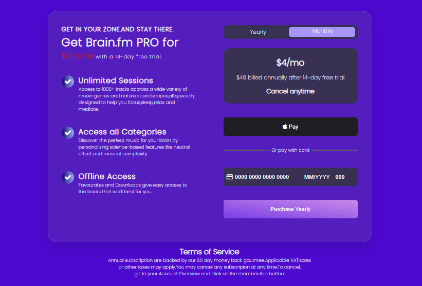 subscription card with credit card details input masking