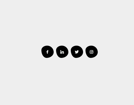animation social media buttons with fancy borders