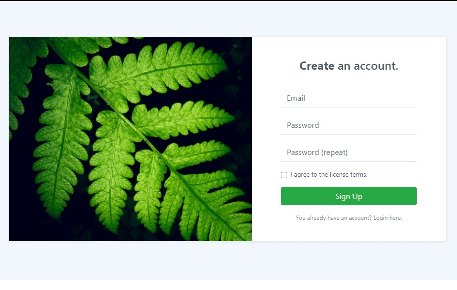 signup form with image on left side
