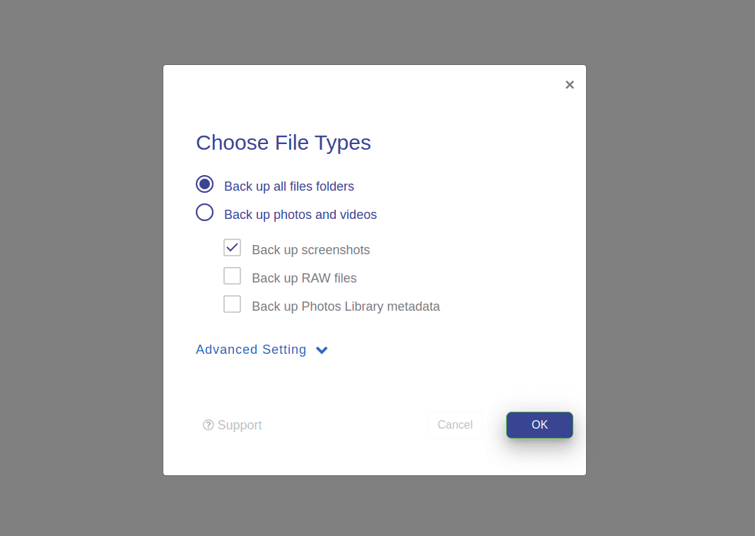 modal popup with custom radio buttons and  checkboxes