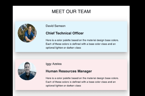 MEET OUR TEAM Section