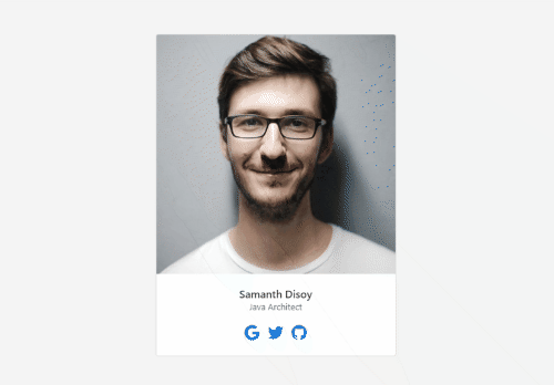 simple user profile with hover effect and icons