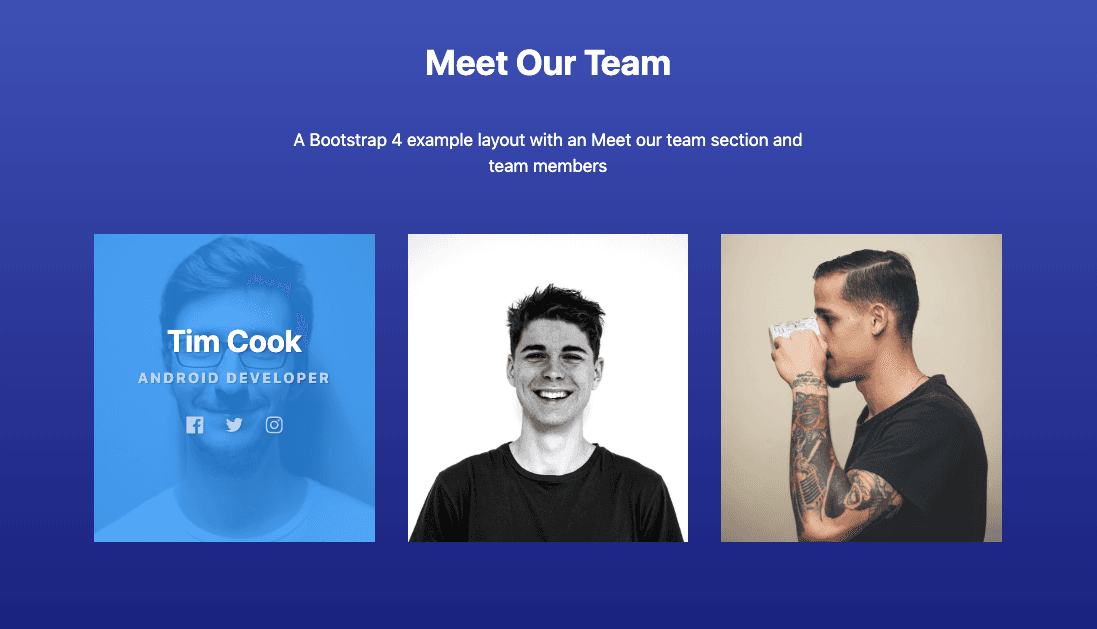 Meet our team section on hover with social icons