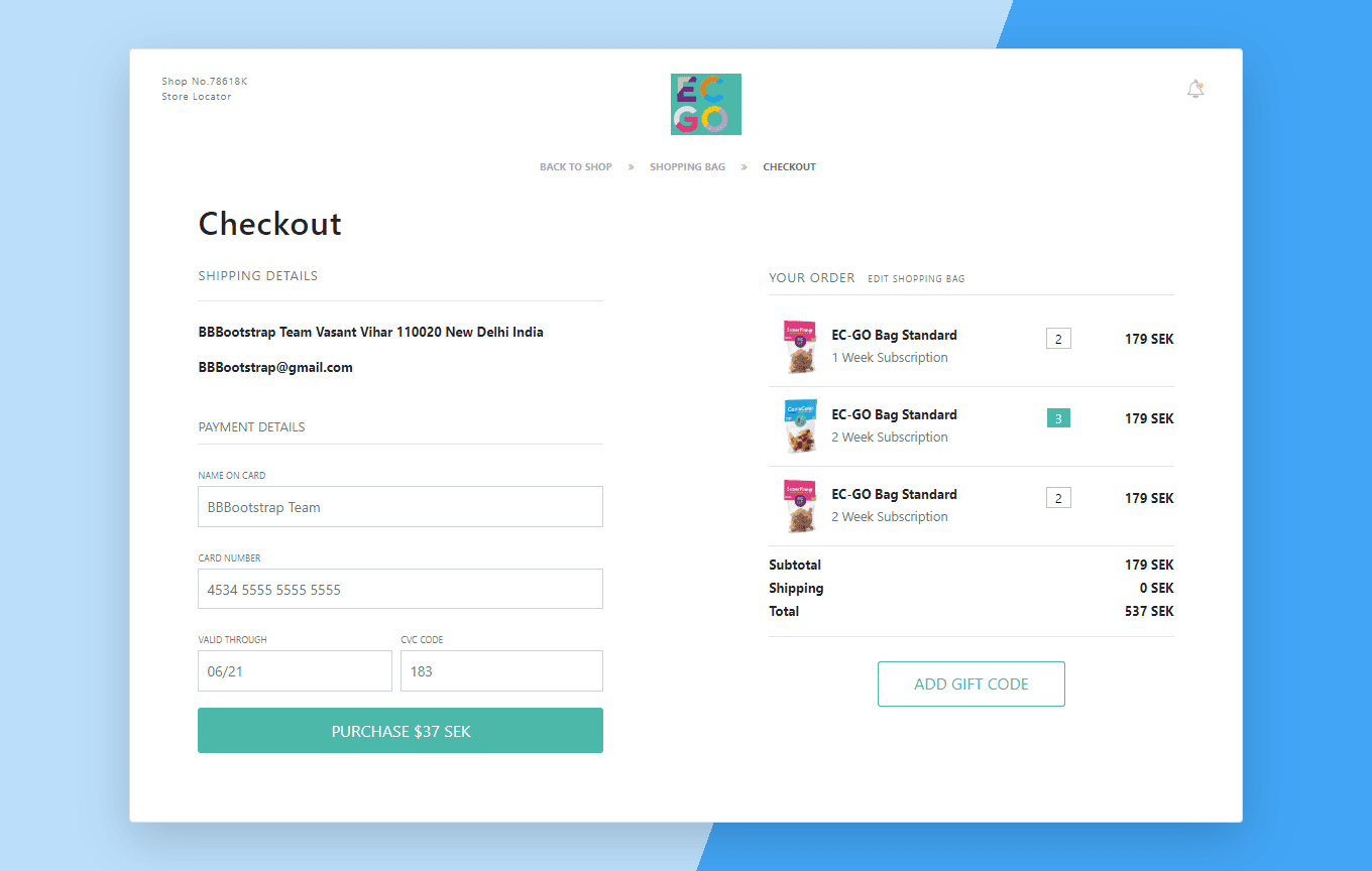 shopping bag checkout with order summary