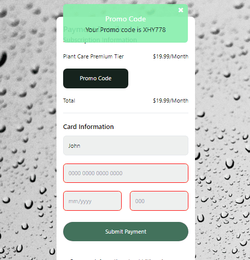 Subscription card with modal and payment validation