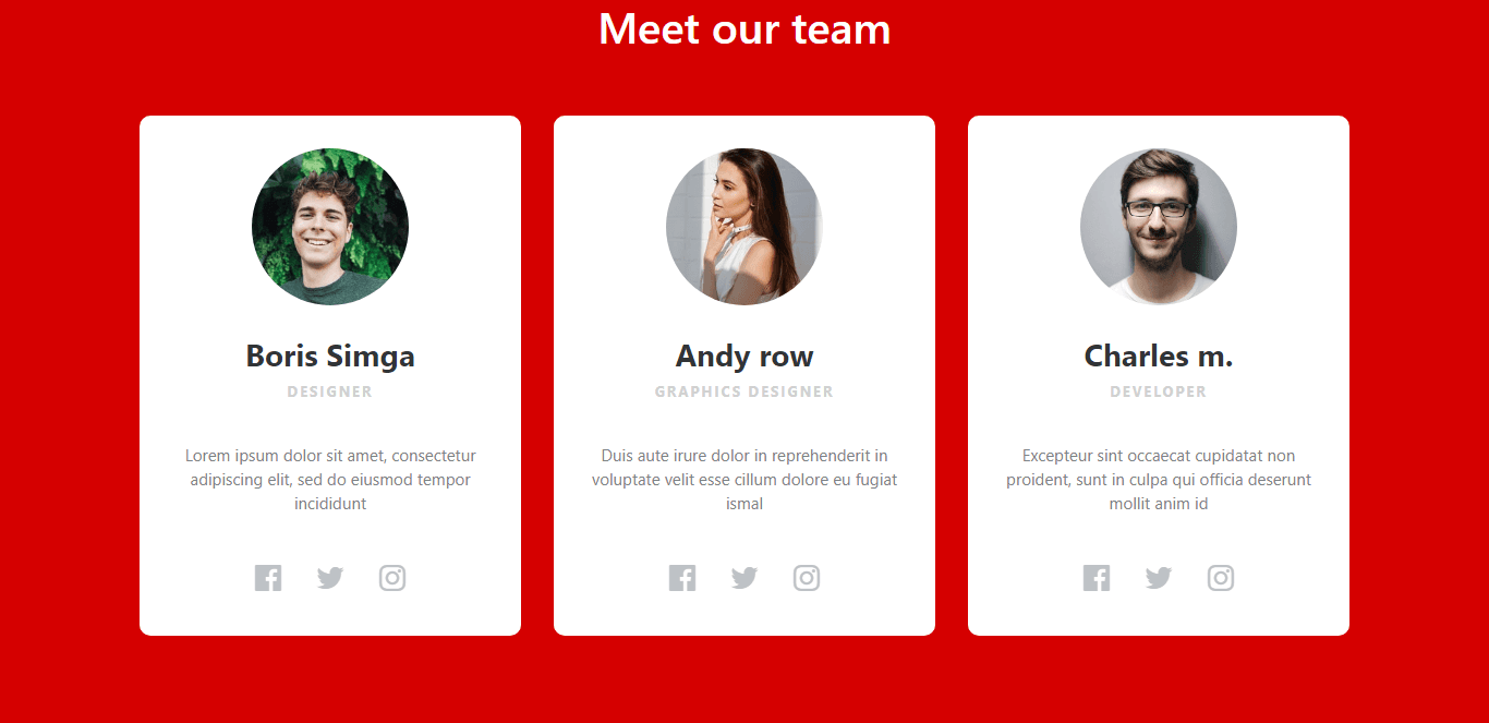 meet our team section with social icons