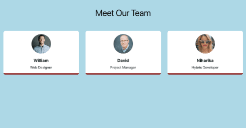 Meet our team section with image hover effect