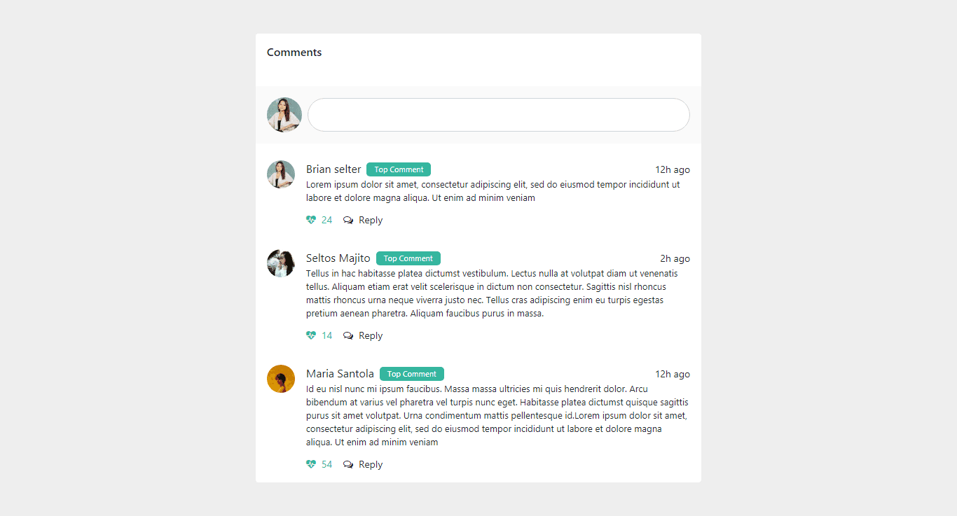 user comment section template
