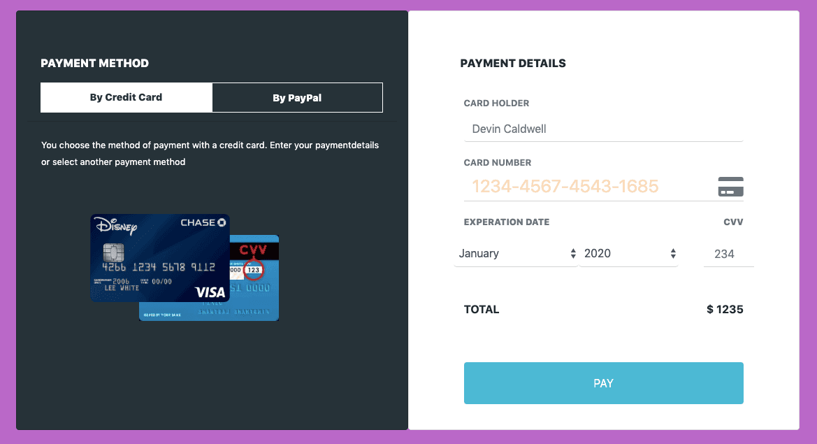 payment form with icon