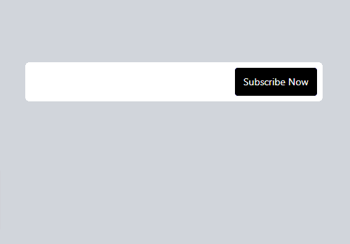 subscribe now input field