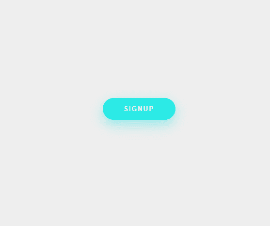 button with hover and transition effect