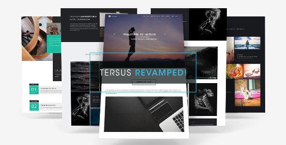Tersus - Business Portfolio Parallax Muse Template